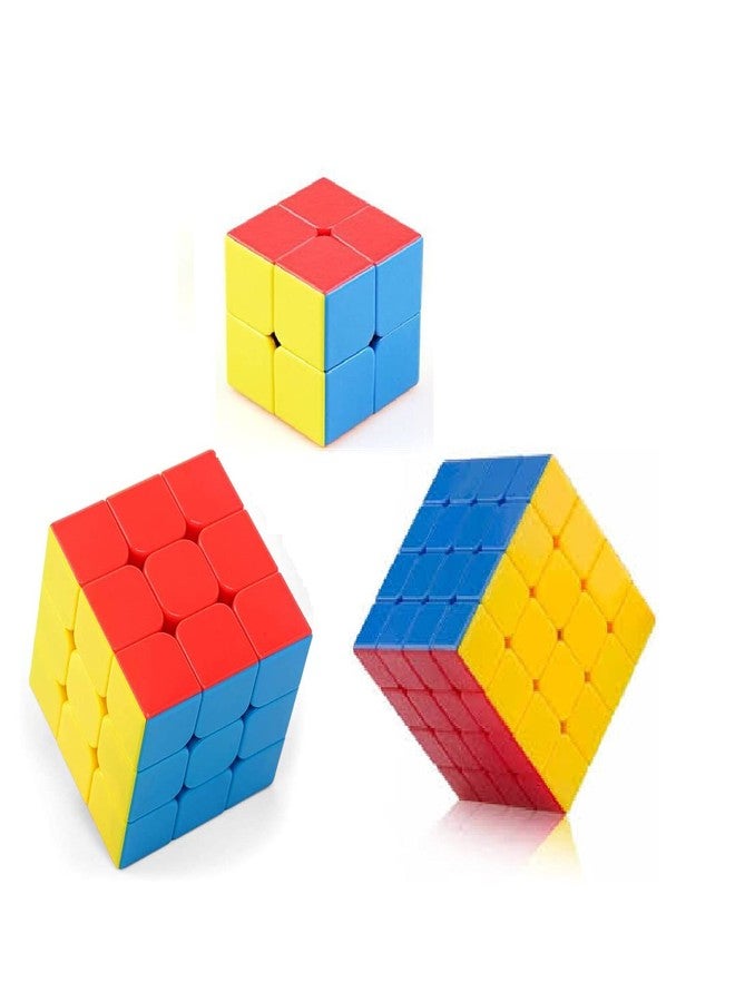 3Pcs Combo Cubing Classroom Speed Cube Brain Teaser Gift Box Set 2x2 3x3 4x4 Stickerless Puzzle Magic Cube (3 Pieces)